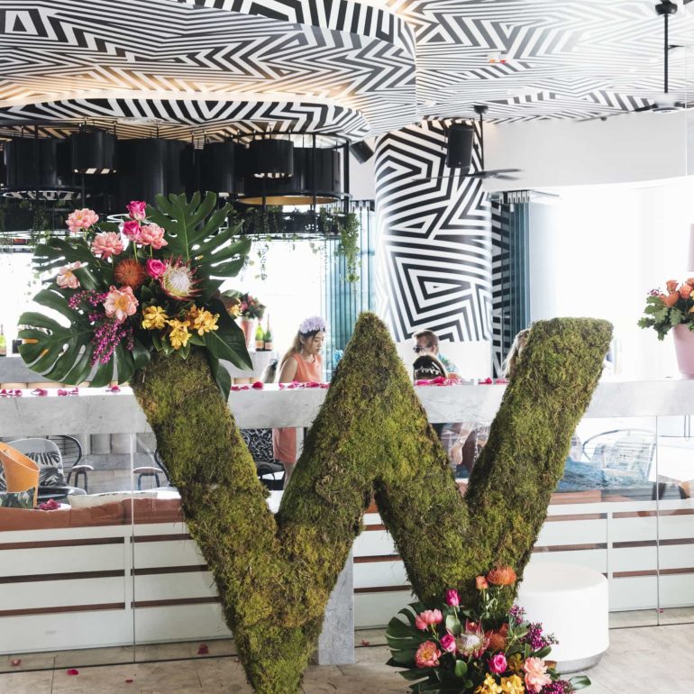 Saddle In this Melbourne Cup at W Brisbane