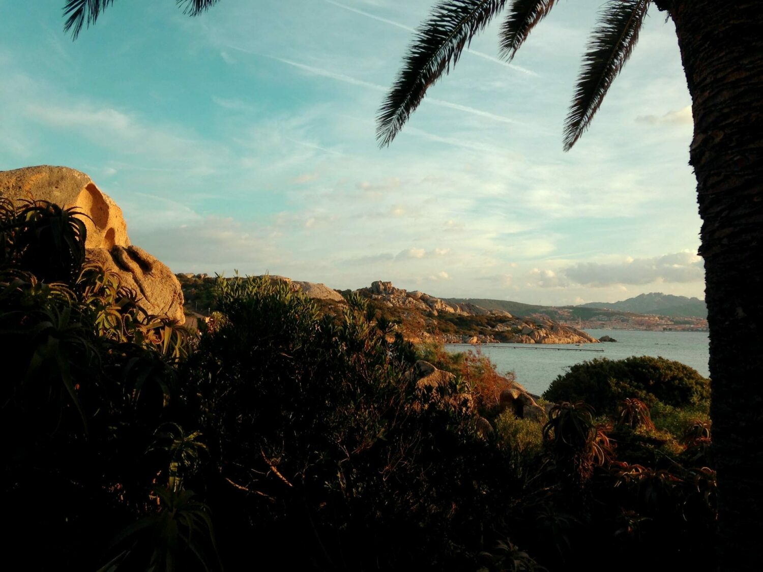 La Sarda Home bringing a piece of Sardinia home to you