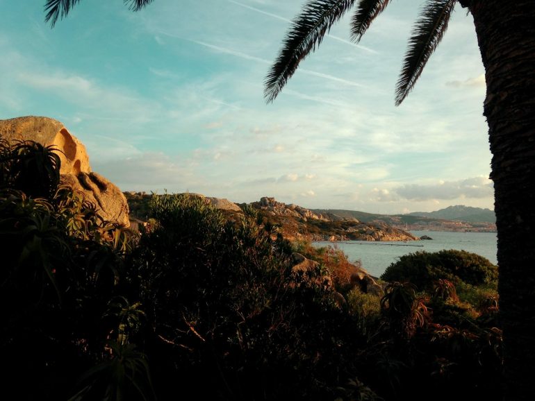 La Sarda Home bringing a piece of Sardinia home to you